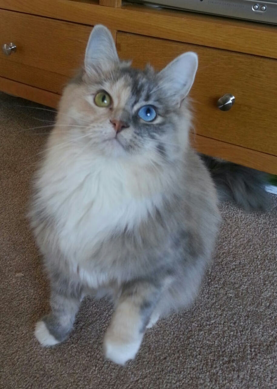 体育产业资本运作新模式,体育产业资本运作新模式是什么